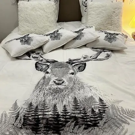 T5 Duplex Neuf 5 Diamants Plein Centre 10 Personnes *