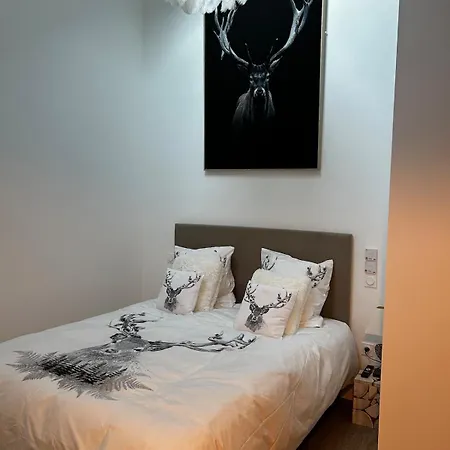 T5 Duplex Neuf 5 Diamants Plein Centre 10 Personnes Apartment Saint-Lary-Soulan