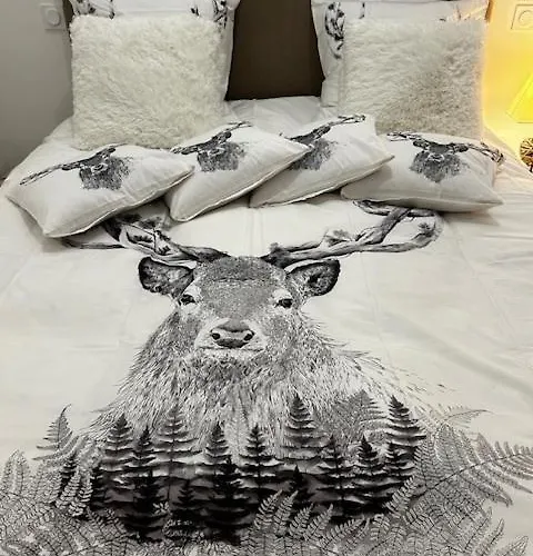 T5 Duplex Neuf 5 Diamants Plein Centre 10 Personnes *