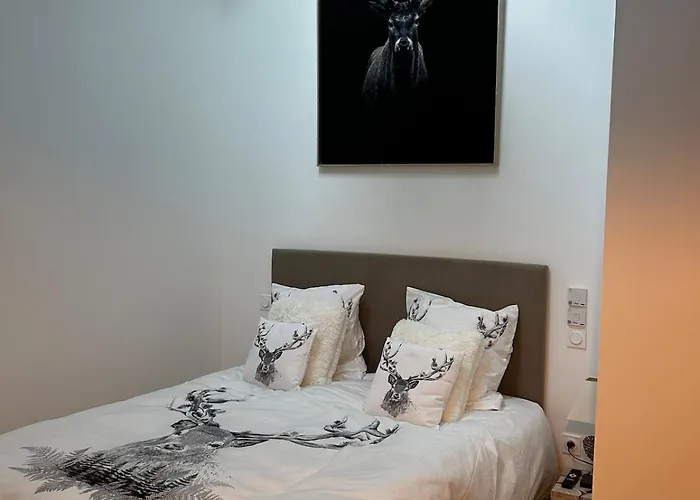 T5 Duplex Neuf 5 Diamants Plein Centre 10 Personnes Apartment Saint-Lary-Soulan