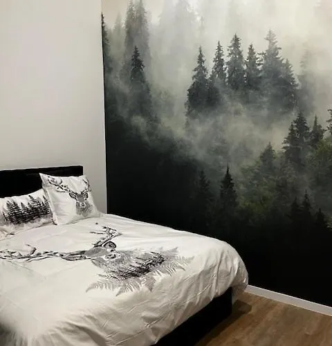 T5 Duplex Neuf 5 Diamants Plein Centre 10 Personnes Apartment *